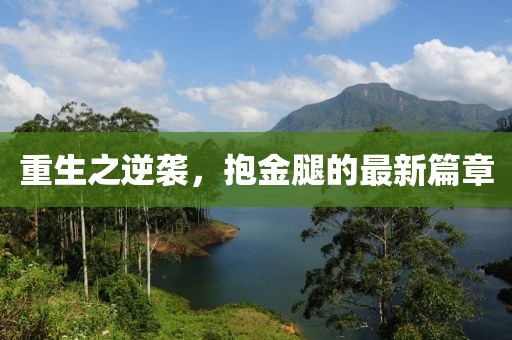 重生之逆袭，抱金腿的最新篇章