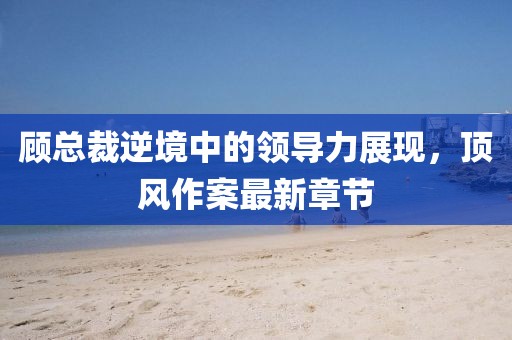 顾总裁逆境中的领导力展现，顶风作案最新章节