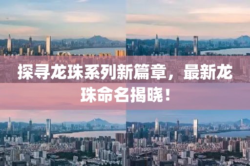 探寻龙珠系列新篇章，最新龙珠命名揭晓！