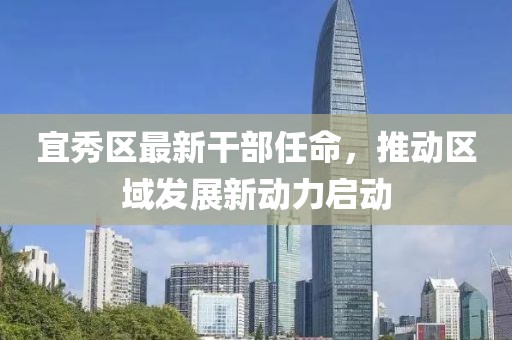 宜秀区最新干部任命，推动区域发展新动力启动
