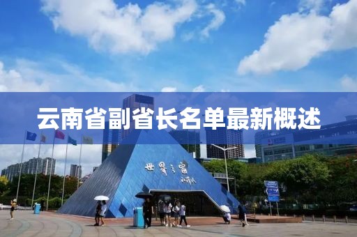 云南省副省长名单最新概述