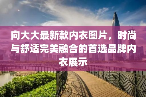 向大大最新款内衣图片，时尚与舒适完美融合的首选品牌内衣展示