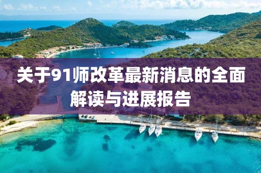 关于91师改革最新消息的全面解读与进展报告