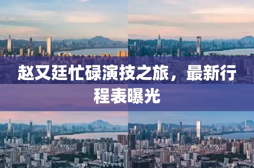 赵又廷忙碌演技之旅，最新行程表曝光