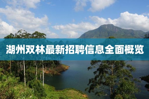 湖州双林最新招聘信息全面概览