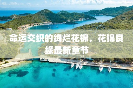命运交织的绚烂花锦，花锦良缘最新章节