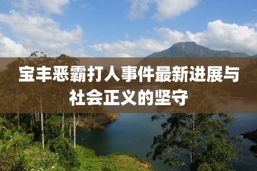 宝丰恶霸打人事件最新进展与社会正义的坚守