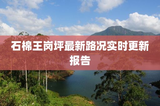 石棉王岗坪最新路况实时更新报告