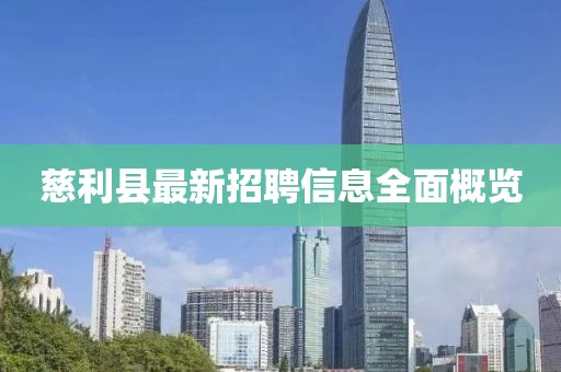 大男孩 第41页