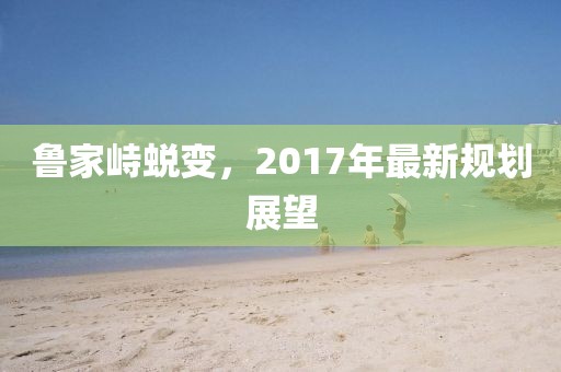 鲁家峙蜕变，2017年最新规划展望