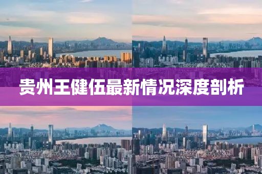 贵州王健伍最新情况深度剖析
