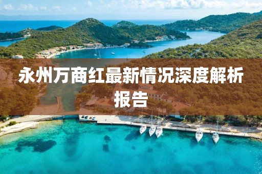 永州万商红最新情况深度解析报告