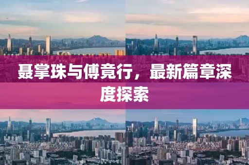 聂掌珠与傅竟行，最新篇章深度探索