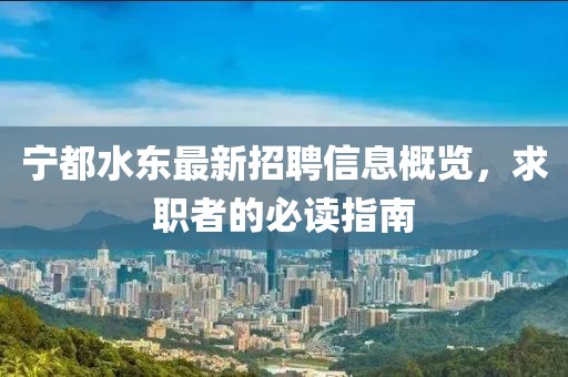 宁都水东最新招聘信息概览，求职者的必读指南