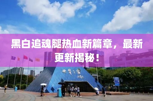 黑白追魂腿热血新篇章，最新更新揭秘！