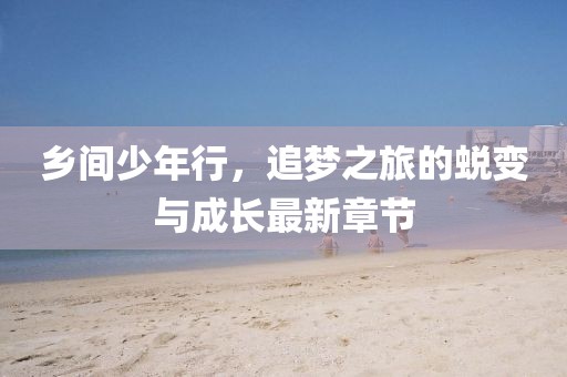 乡间少年行，追梦之旅的蜕变与成长最新章节