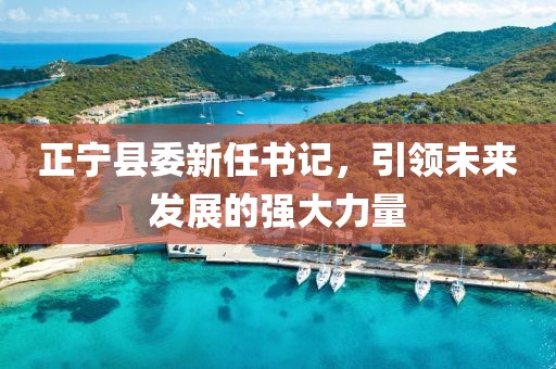 正宁县委新任书记，引领未来发展的强大力量