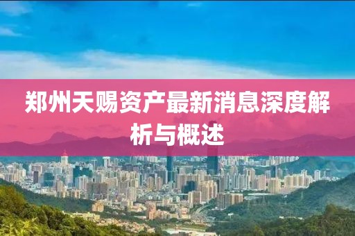 郑州天赐资产最新消息深度解析与概述