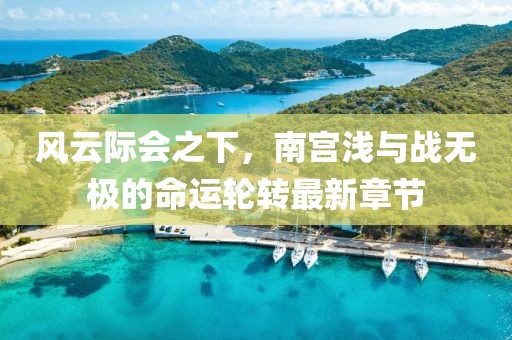 风云际会之下，南宫浅与战无极的命运轮转最新章节