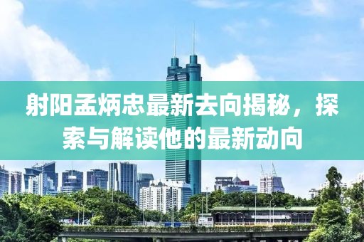 射阳孟炳忠最新去向揭秘，探索与解读他的最新动向