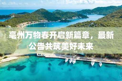 亳州万物春开启新篇章，最新公告共筑美好未来