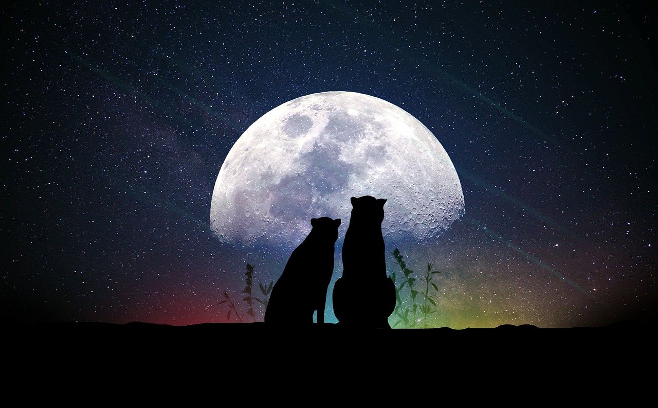 明星闰，闪耀背后的故事与光芒探索