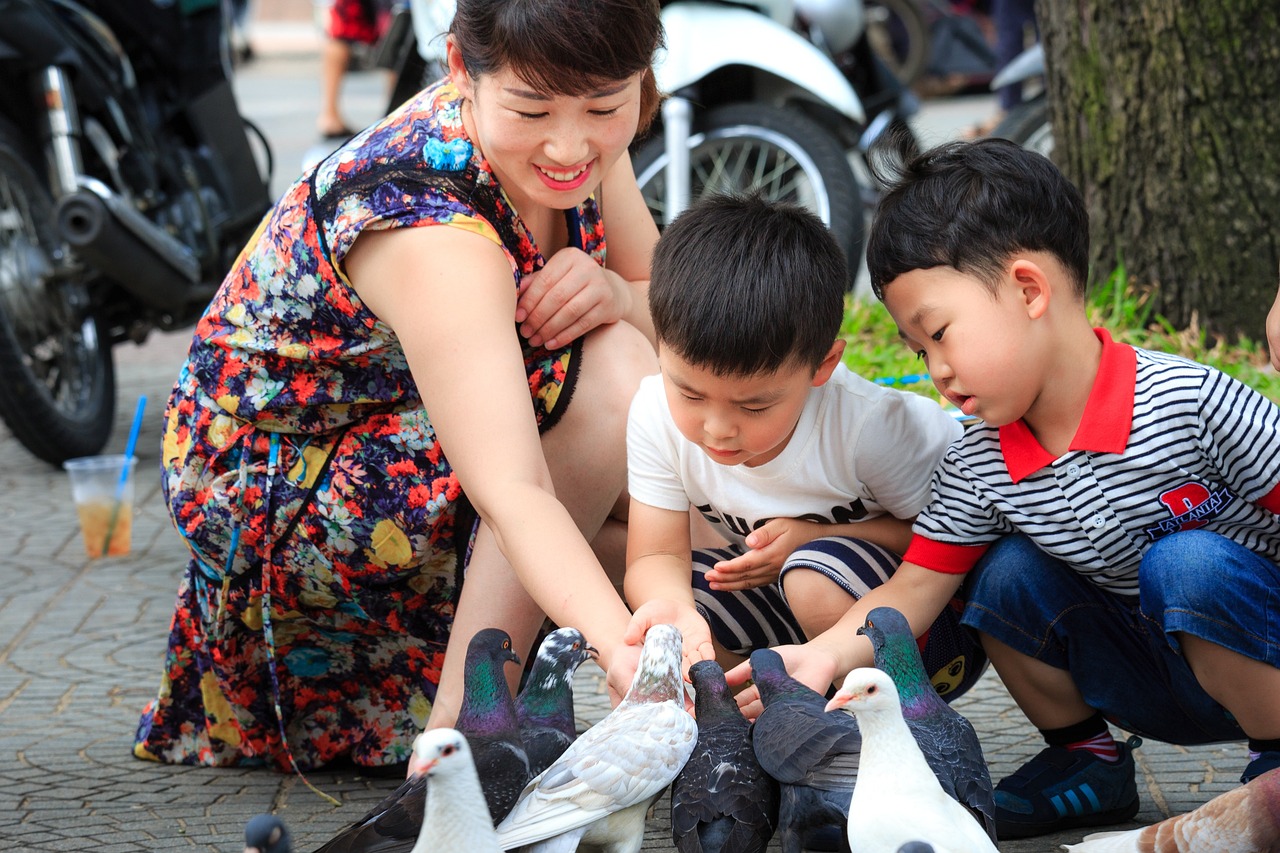 幼儿园保育员技能比赛，提升专业能力，培育幼儿成长的守护者守护者